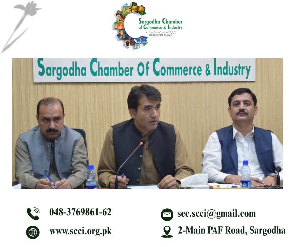 1763538014_WhatsApp Image 2025-11-19 at 12.25.29_ec16a581.jpg